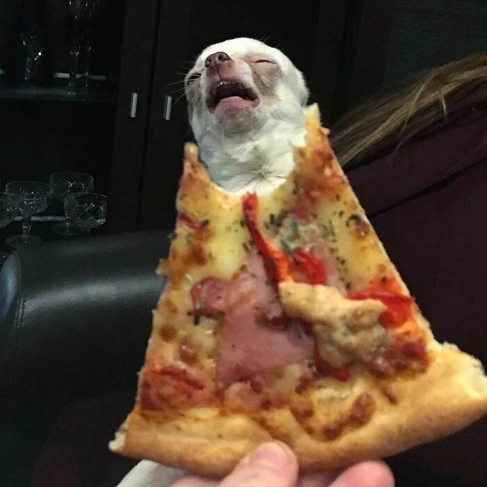 08-13-24-16281590761357248656