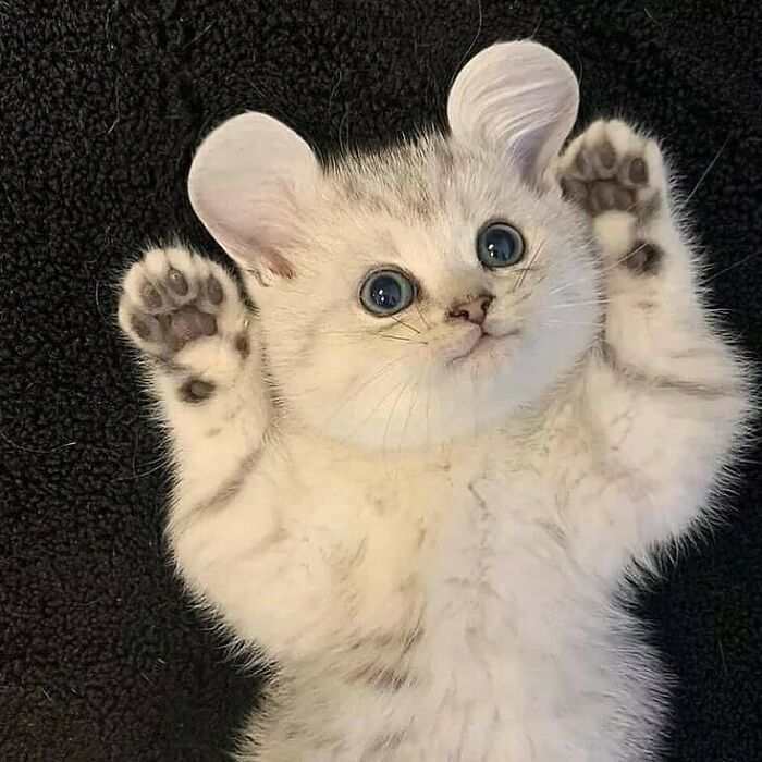 08-13-24-1628159082794472953