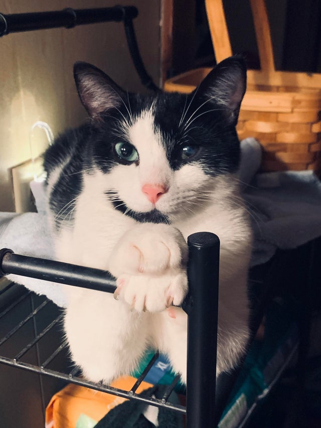 08-13-25-16281591051764954932