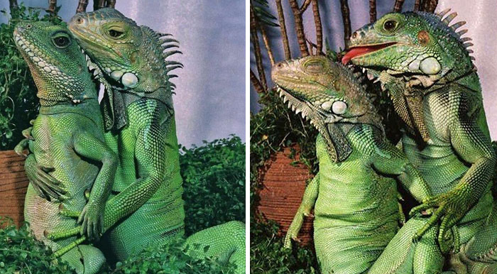 08-13-25-1628159108740151153