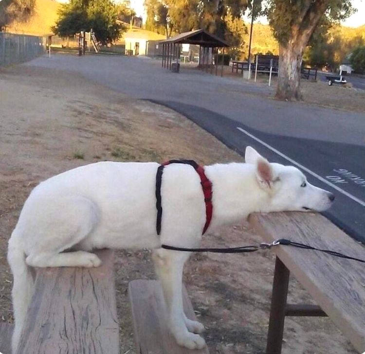 08-13-25-16281591121415334056