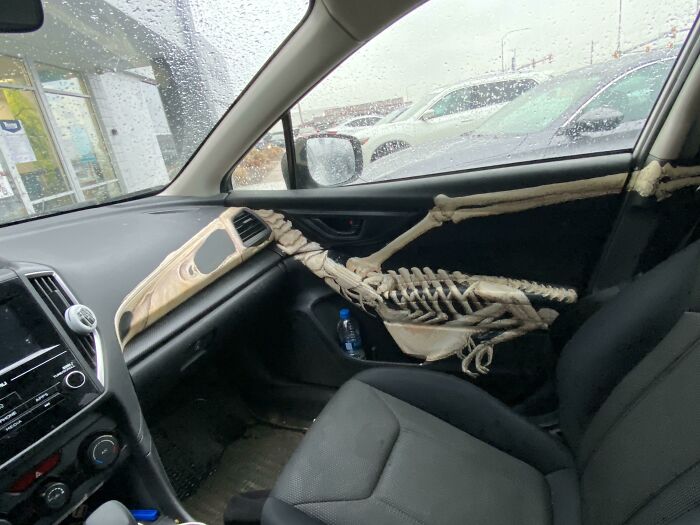 08-13-49-1627901349312028456