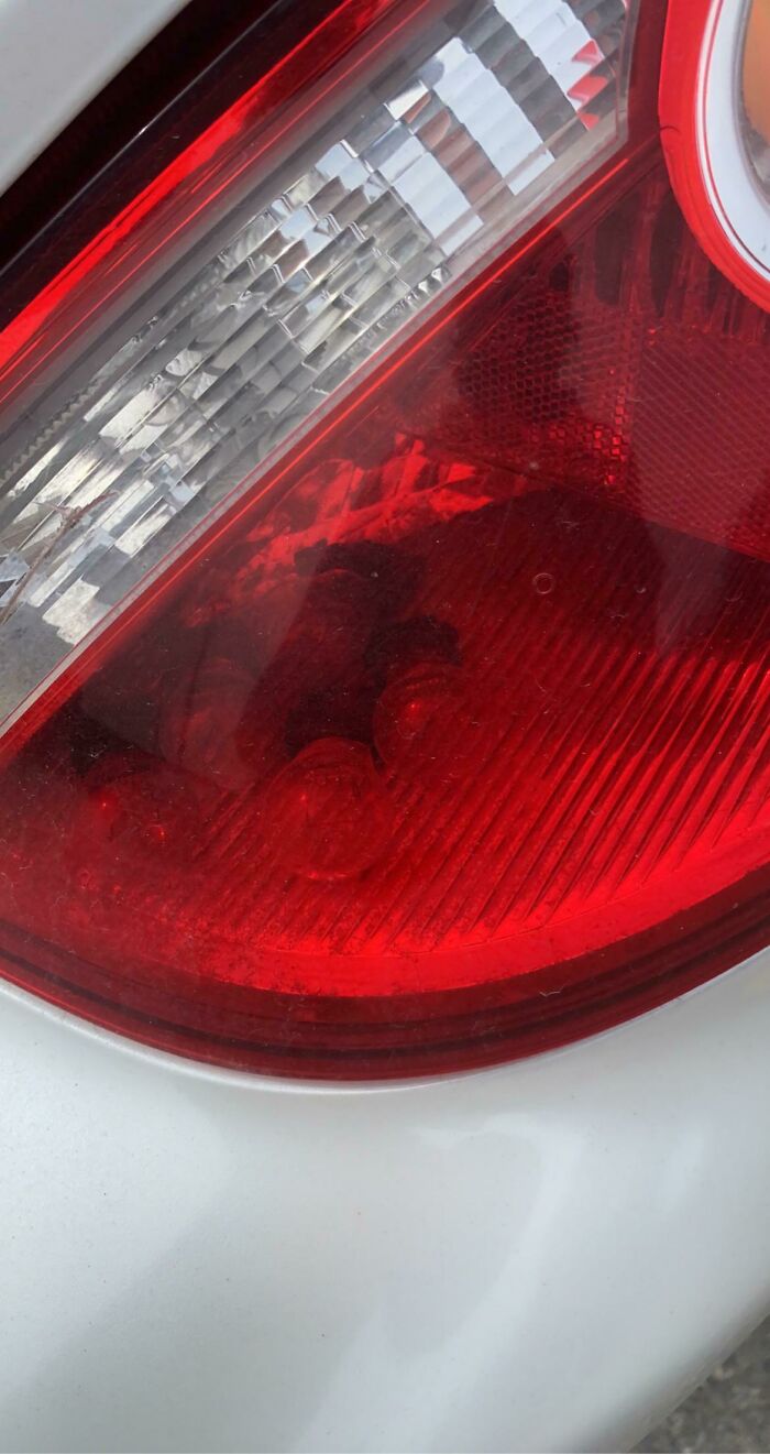 08-13-49-1627901374303178351