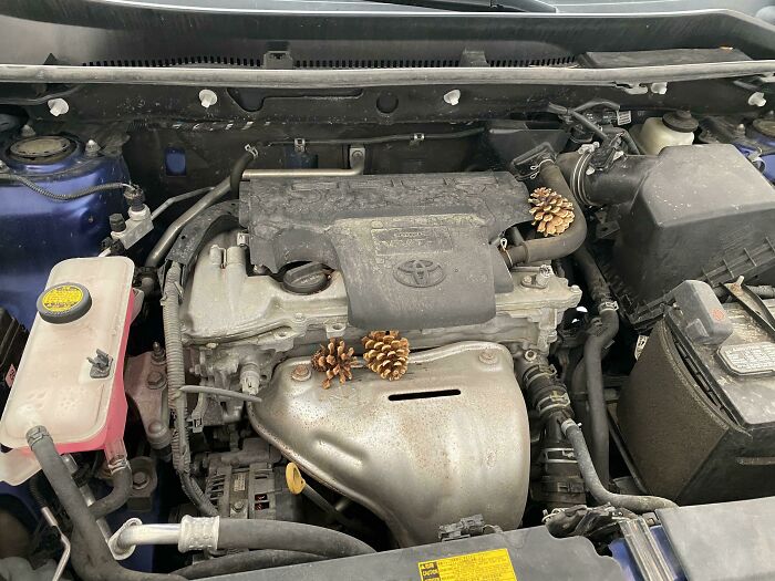 08-13-50-16279014061628036956