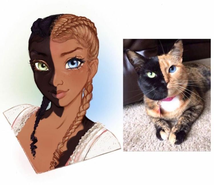 08-15-05-1628078725721493042