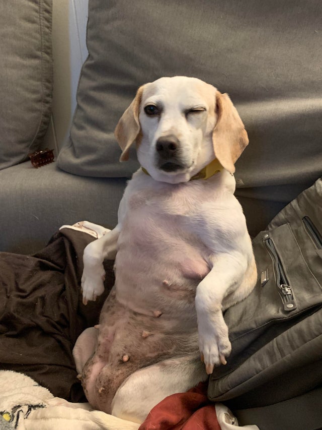 08-16-05-162825510430829434