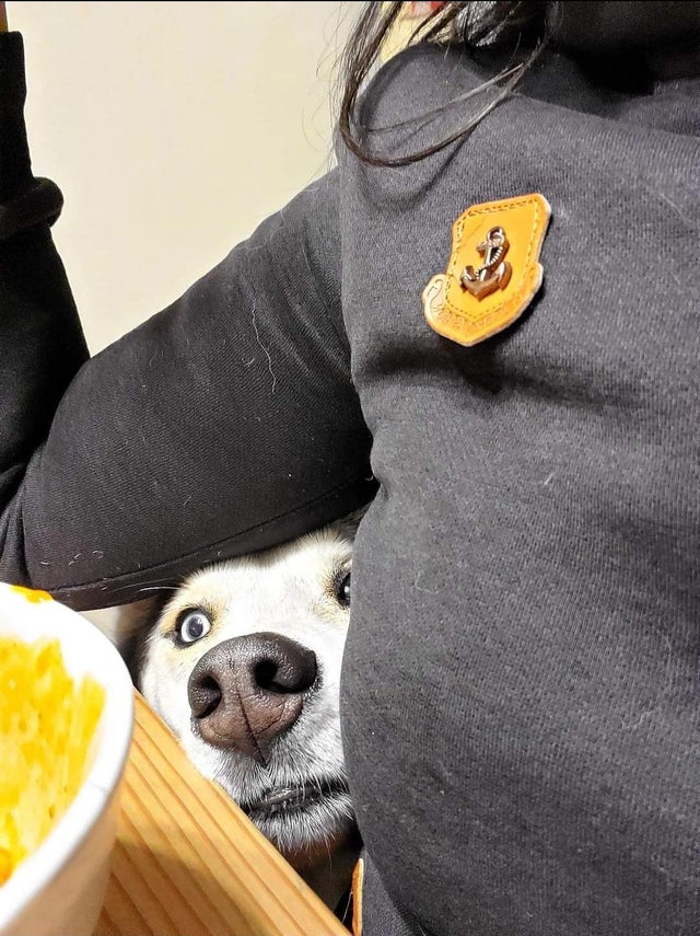 08-16-05-16282551121492354278