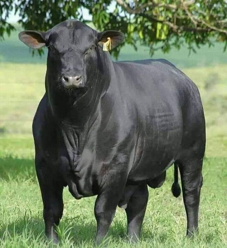 08-17-05-1628604313565155122