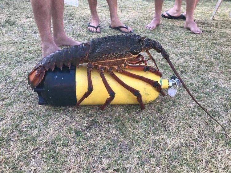 08-17-05-16286043312032577923