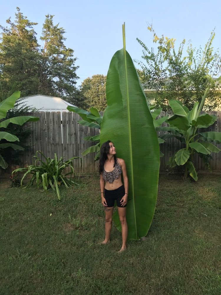 08-17-05-162860433437674157