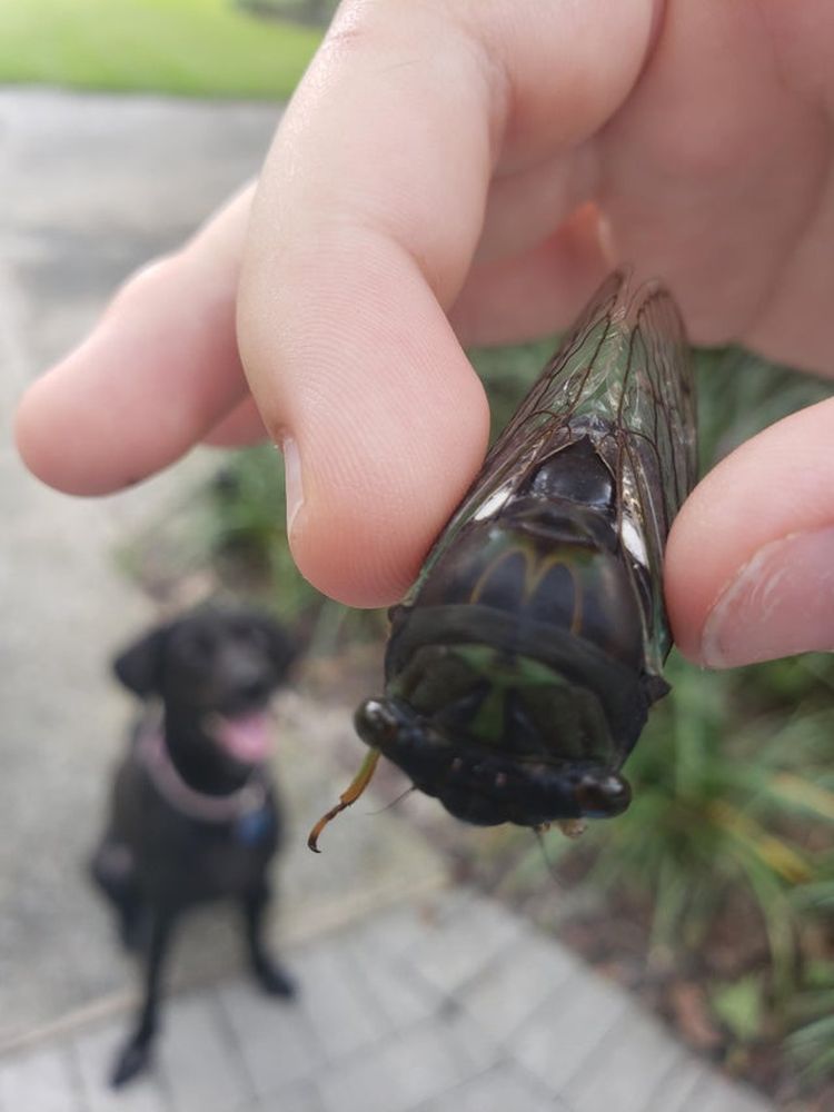 08-17-44-162817467671299075