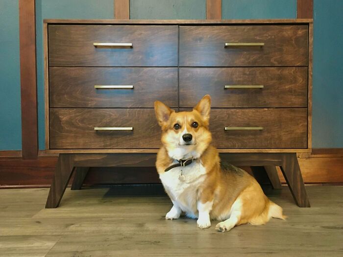 09-11-12-1632211920384954728