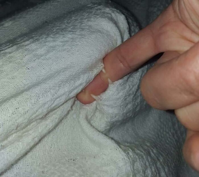 09-12-05-16328199081854346108