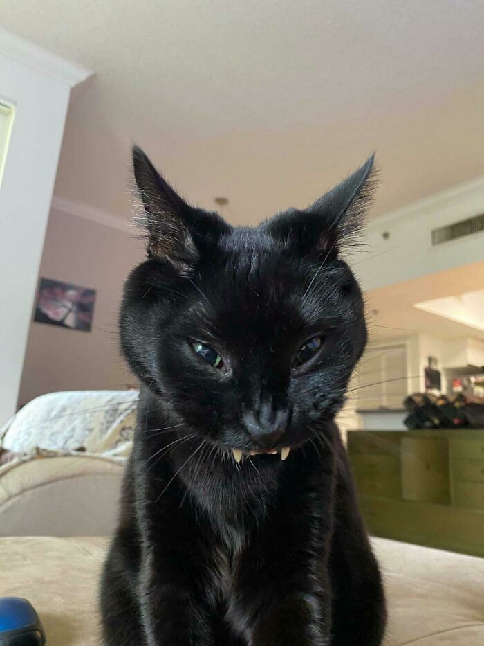 09-12-05-16328199131028844836