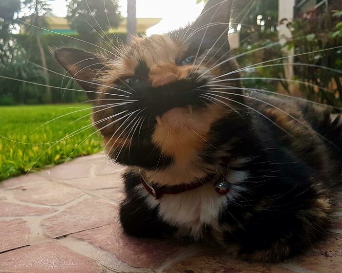 09-12-05-16328199231270662954