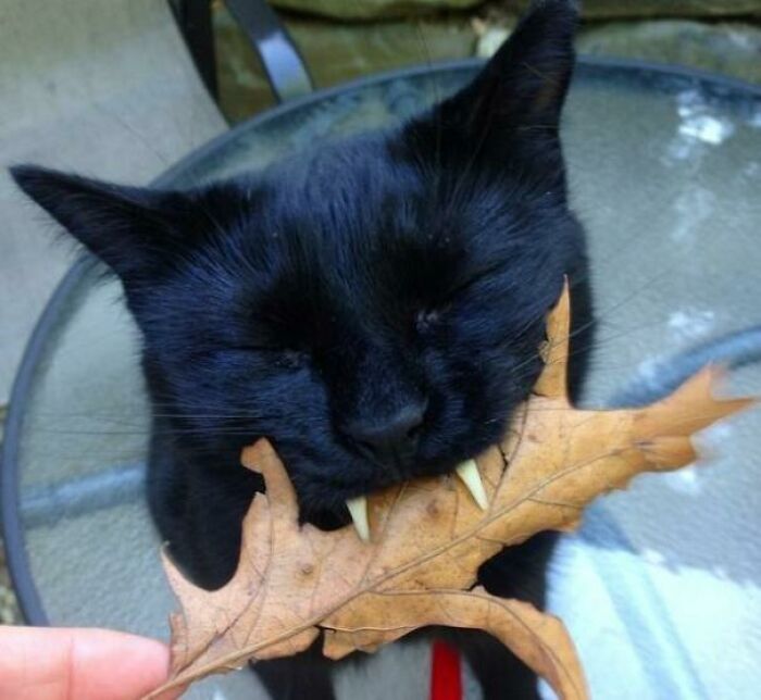 09-12-05-16328199301854331999