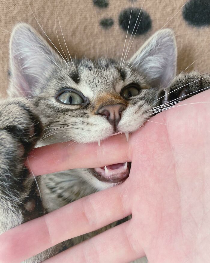 09-12-05-16328199331006306288