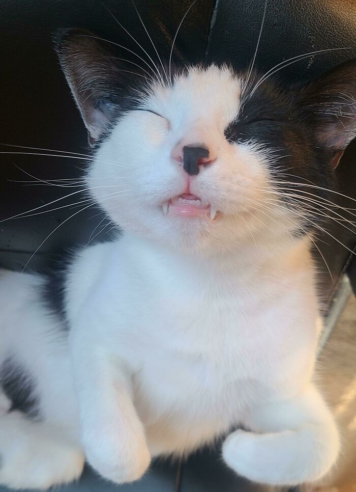 09-12-05-1632819943348530984