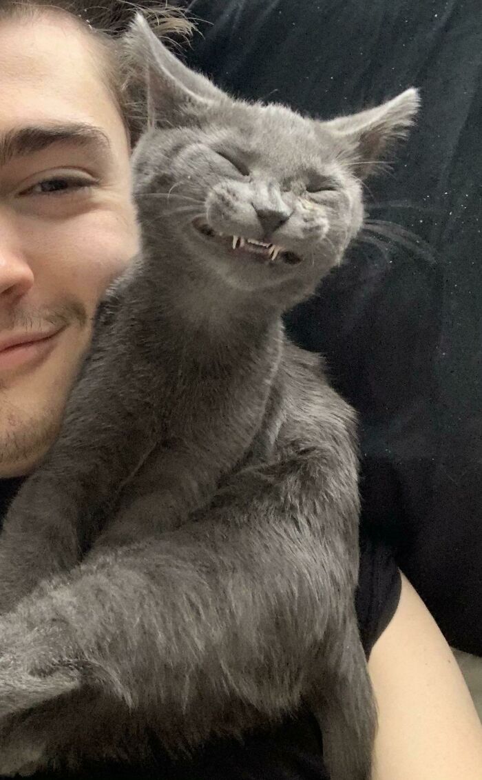 09-12-06-1632819962823601985