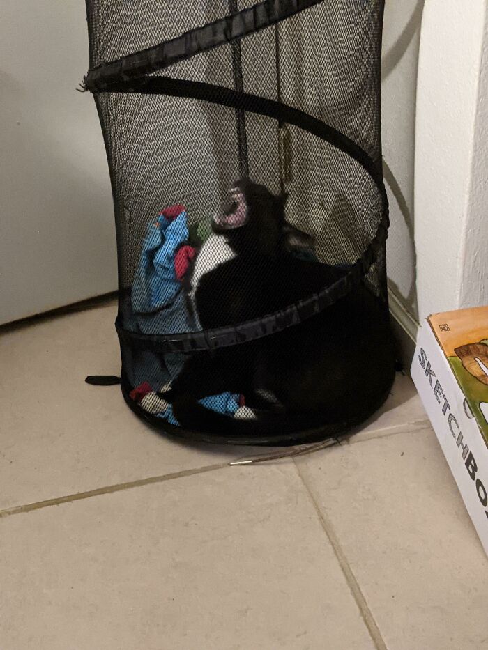 09-12-06-16328199651168365150