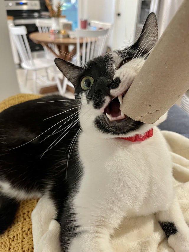 09-12-06-16328199812118733365