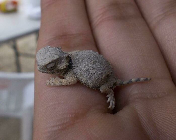 09-12-16-16319565711048974661