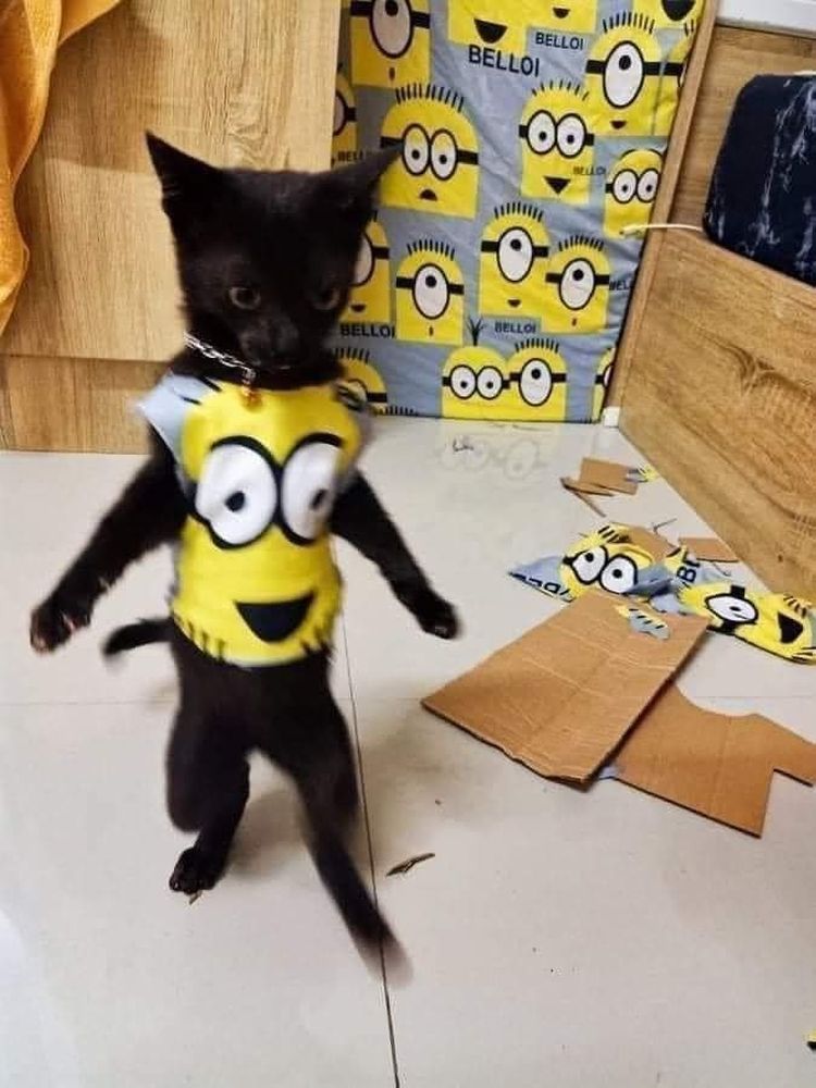 09-12-37-16321306621856651465