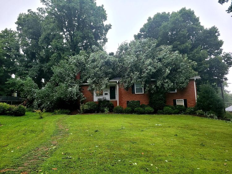 09-14-04-16309262431488306409