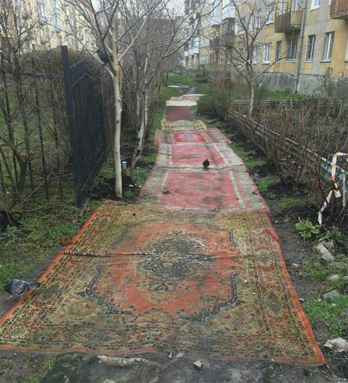 09-15-48-1632660515339604229