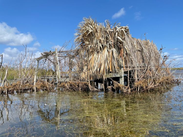 10-11-05-16334211321869226813