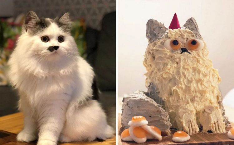 10-11-21-1633422107604717298