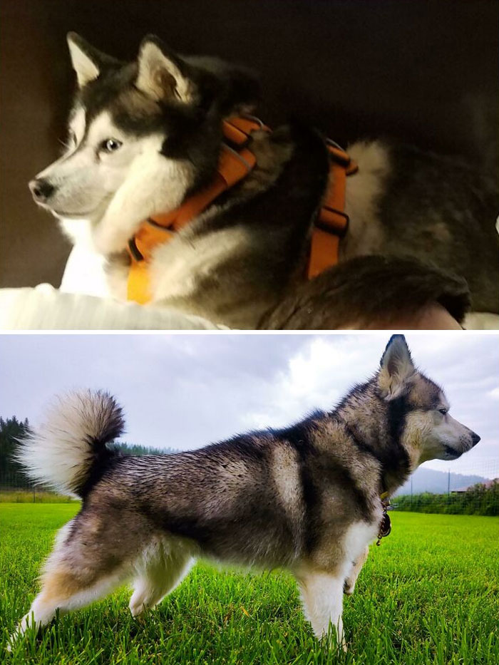 10-12-21-16340304731533028664