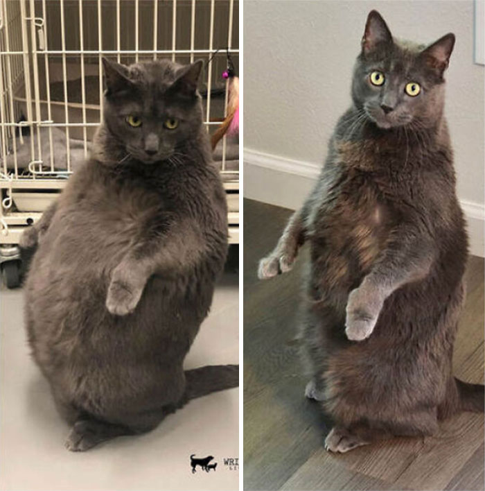 10-12-21-163403048397354692