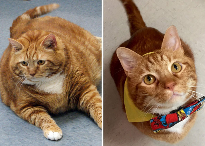 10-12-21-1634030502379183300