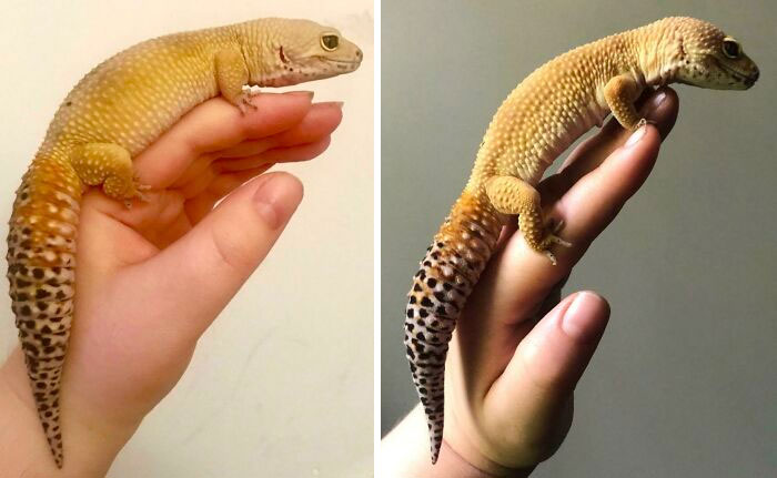 10-12-21-16340305191498039039