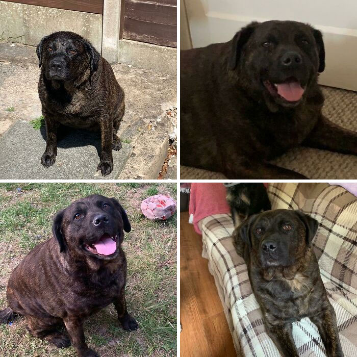 10-12-22-1634030525665912321