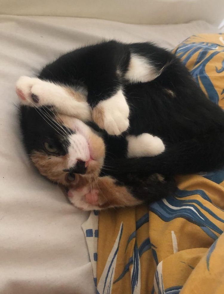 10-13-00-16351560221916837943