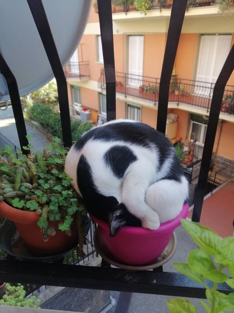 10-13-00-1635156029168607524