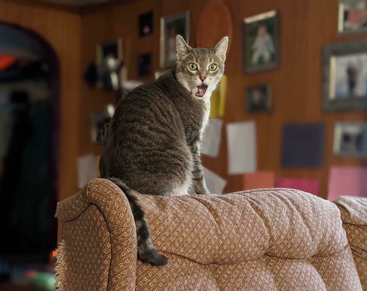 10-13-02-1635156135118477459