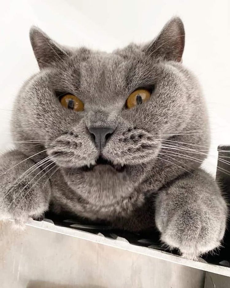 10-13-02-16351561432094625125