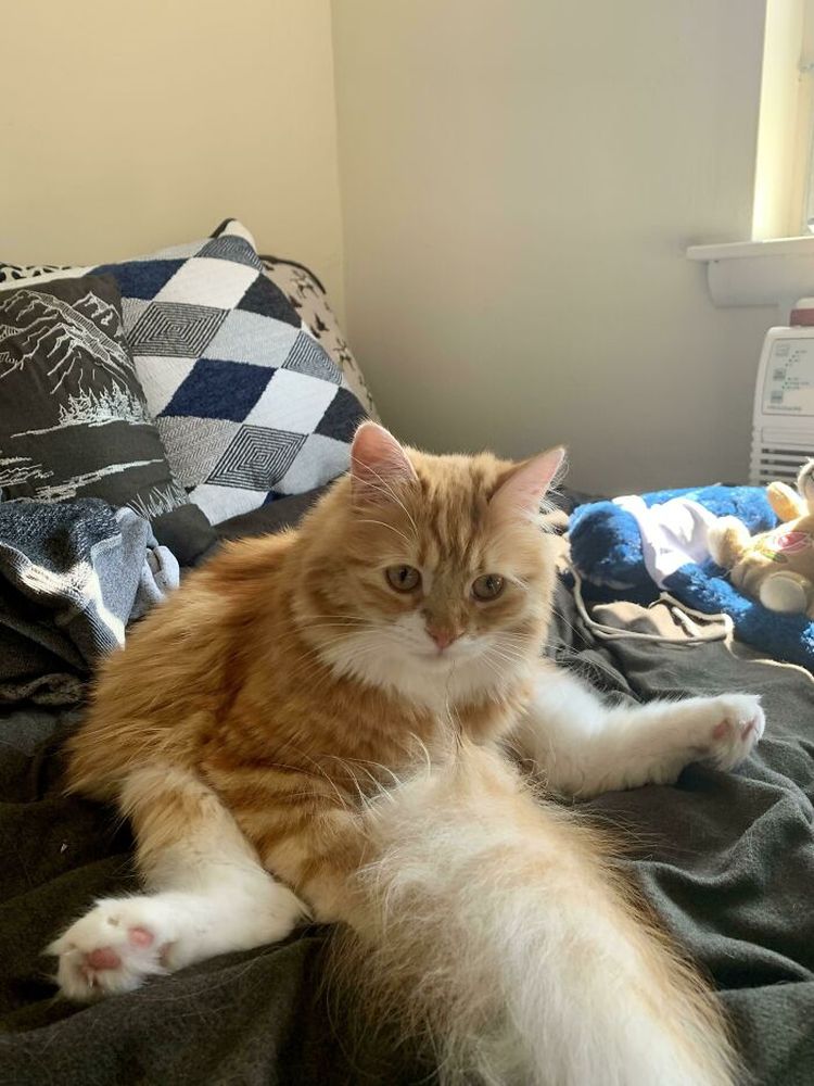 10-13-02-16351561501510433295