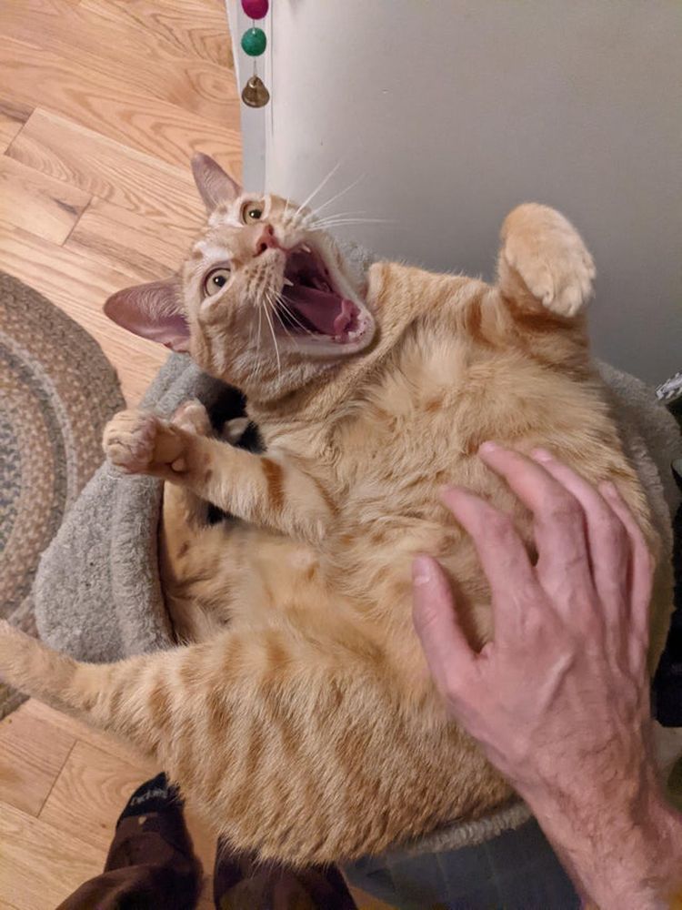 10-13-02-16351561571642954830