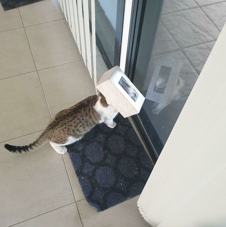 10-13-02-16351561662078115591