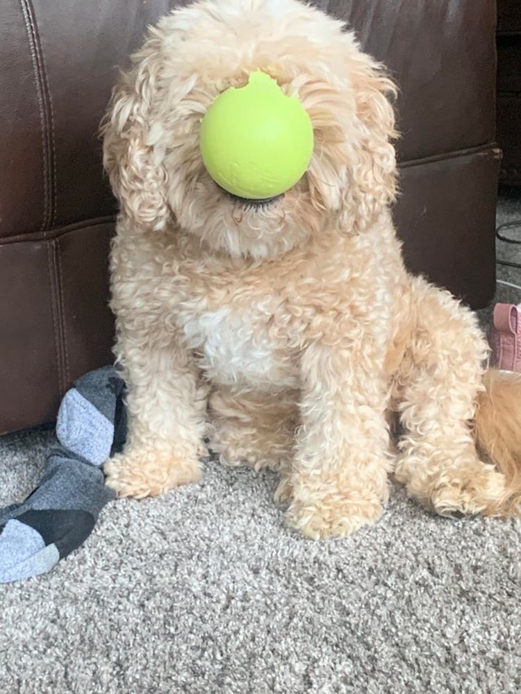 10-13-42-16334305401029695792