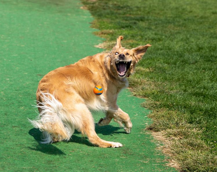 10-13-42-16334305451287820198