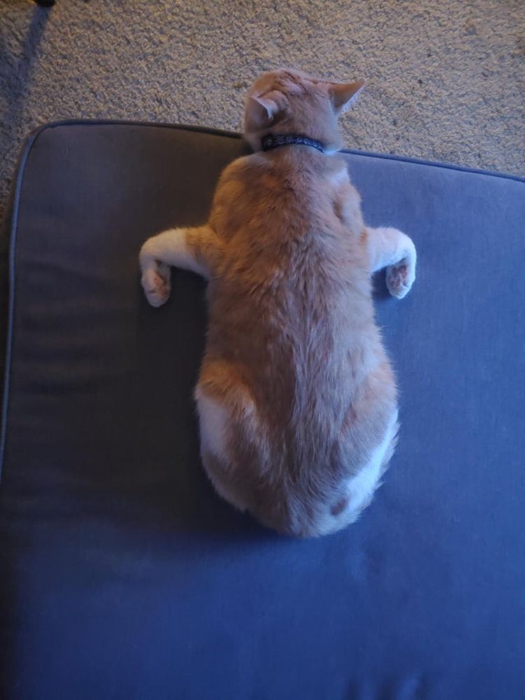 10-13-42-1633430548195870931