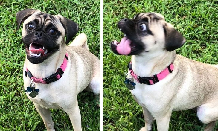 10-13-44-16334306931495854935