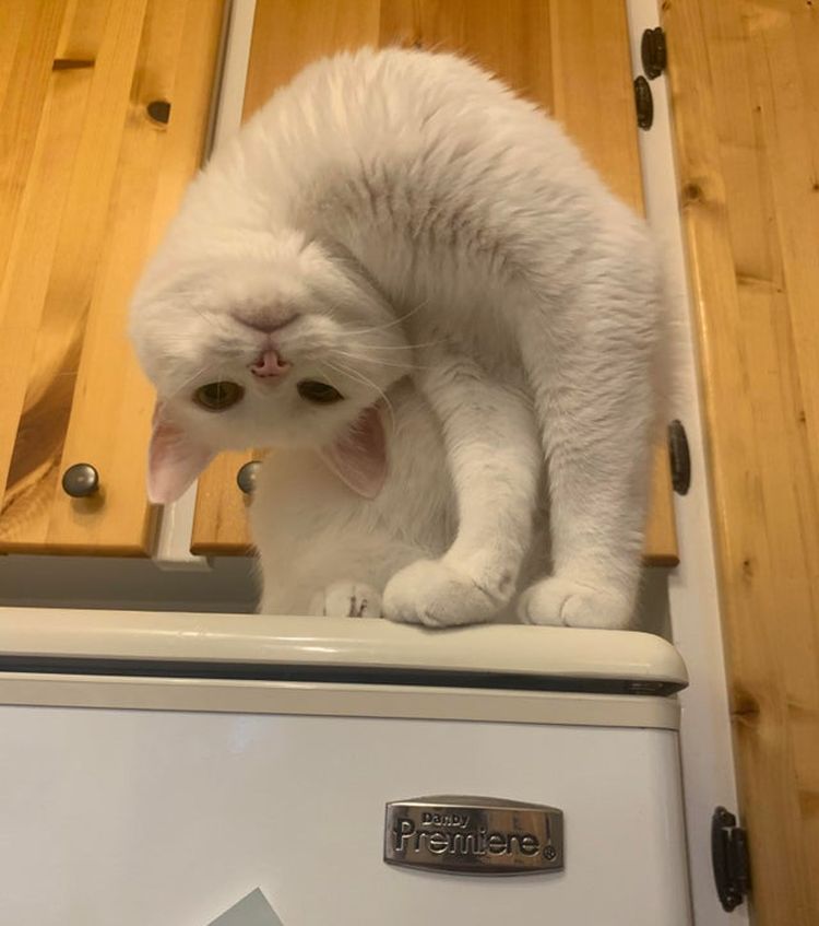 10-13-44-16334306981066795109