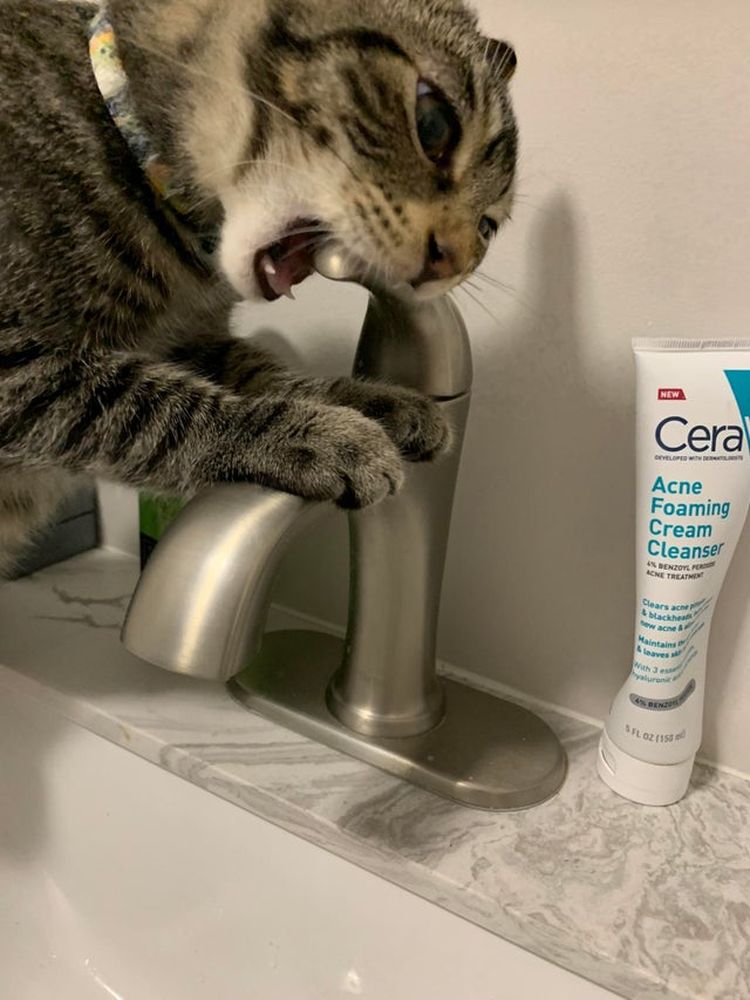 10-13-45-16334307011830151333