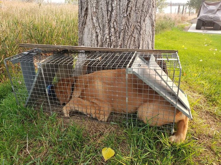 10-13-45-163343070448799694